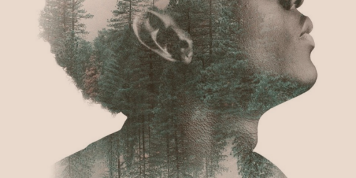 L’ascia dimentica, l’albero ricorda.