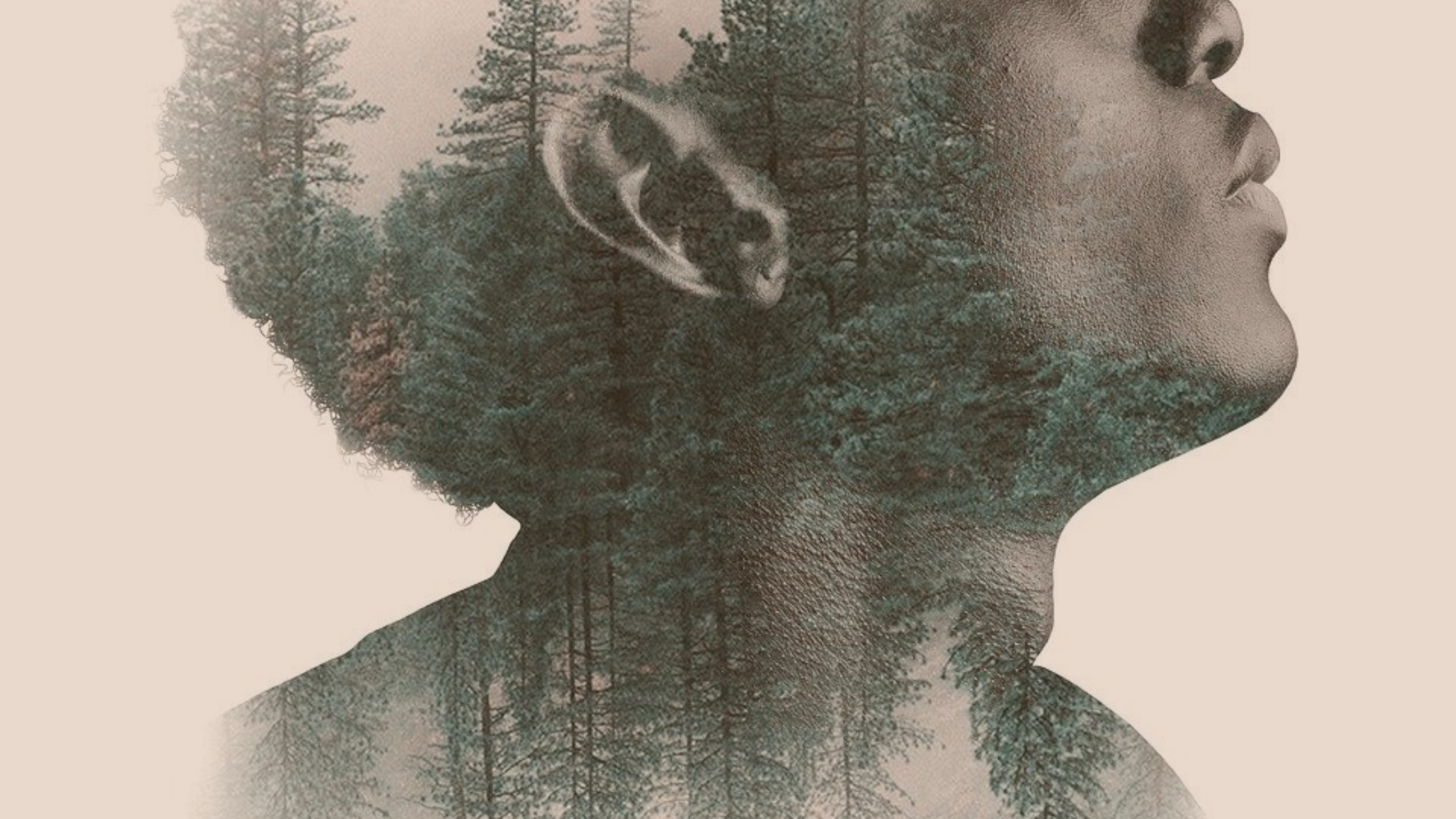 L’ascia dimentica, l’albero ricorda.